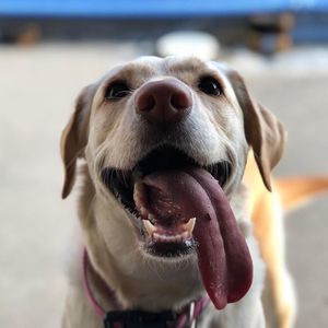 Meet your Posher, Michelene